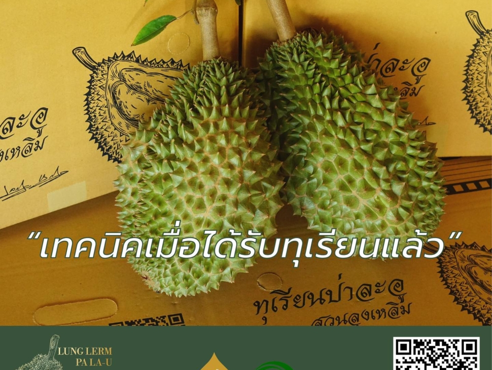 เทคนิคเมื่อได้รับทุเรียน
